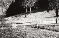 Jeux/Passages: Le pré caché, 1993. Fotografia: Flavio Giacchero.  Jeux/Passages: le pré caché, 1993